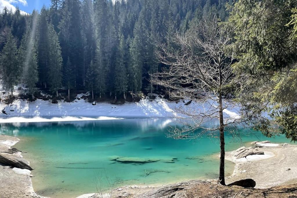 Swiss Chalet Near Flims Trin Esterno foto